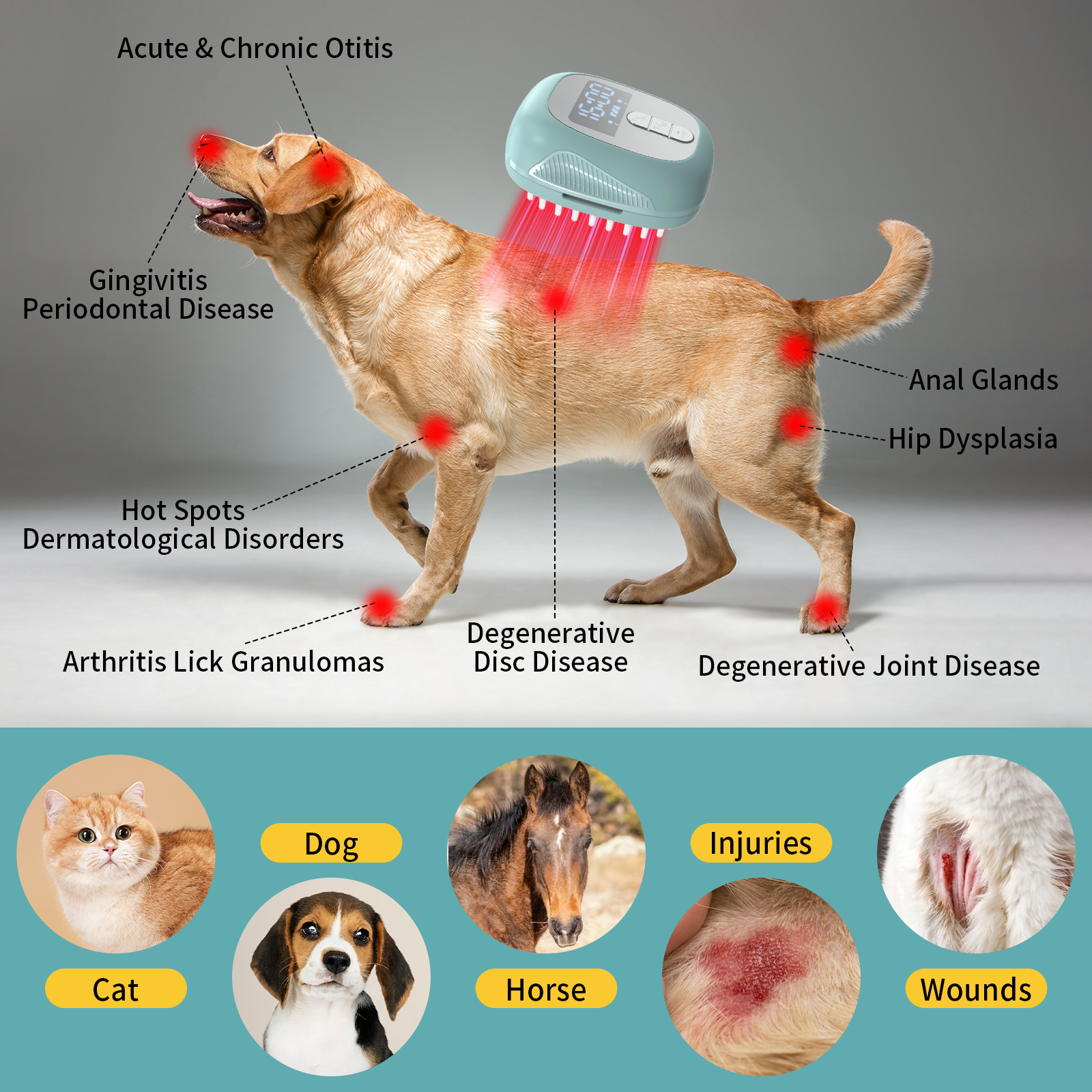 PUPCA Dogs Cold Laser Therapy Comb Device,Red Light Therapy Vet Device for Arthritis Pain Relief,Cat Treatment Brush for Itchy,Irritated Skin,Allergy,Rashes,Safe and Painless Skin Care for Pets