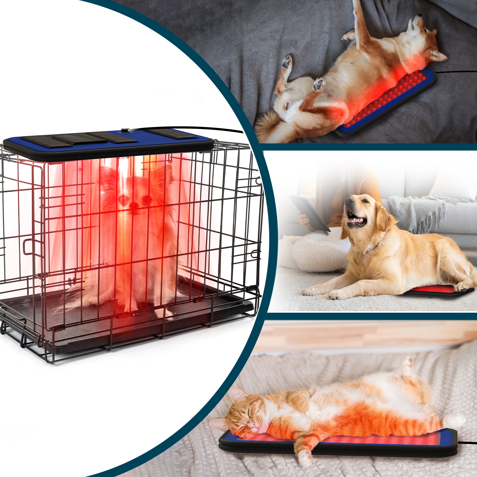 PUPCA Cold Laser Therapy Device for Dogs,Infrared Light Therapy for Pets,Red Light Therapy Belt for Joint and Muscle Pain Relief,Suitable for Dogs,Cats,Horse