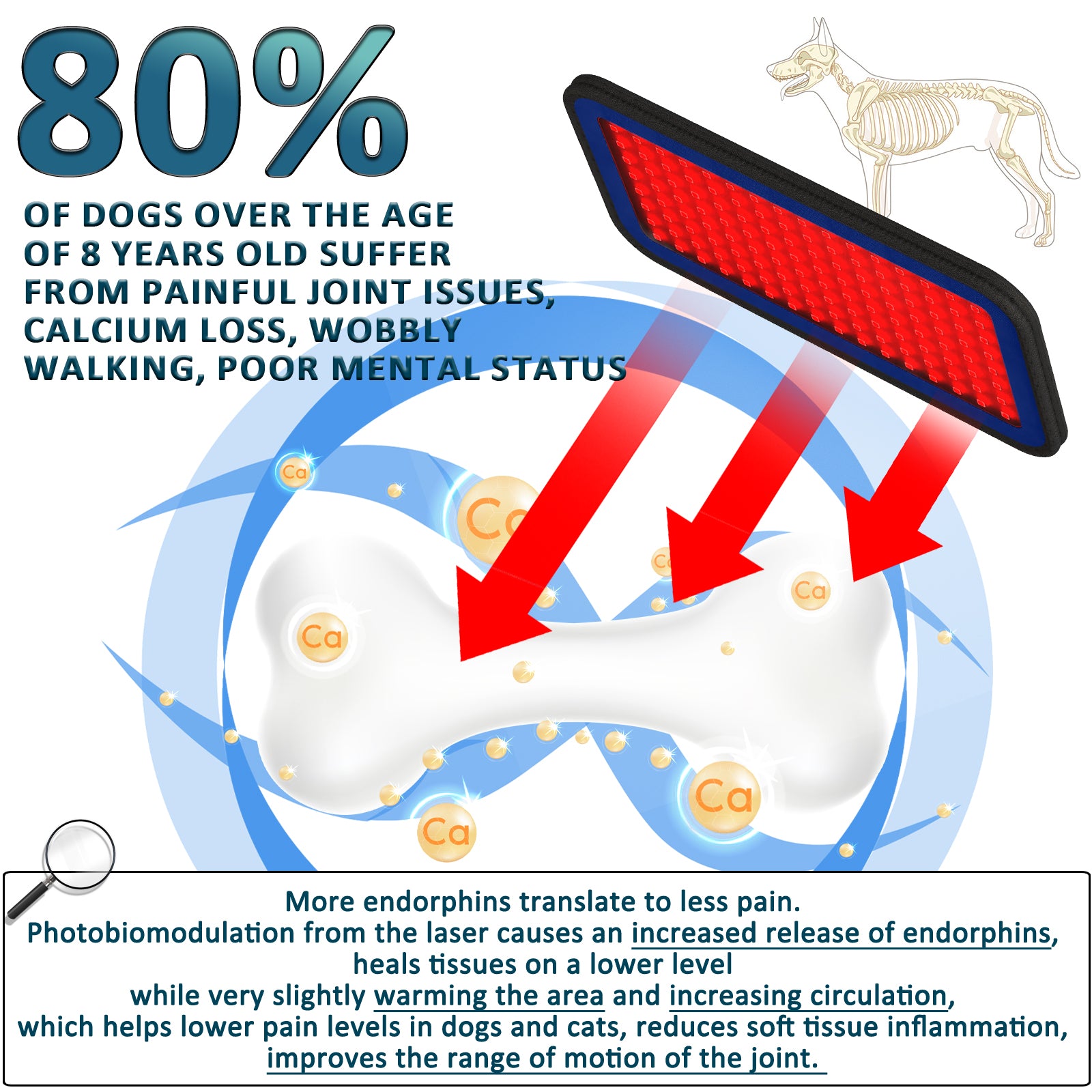 PUPCA Cold Laser Therapy Device for Dogs,Infrared Light Therapy for Pets,Red Light Therapy Belt for Joint and Muscle Pain Relief,Suitable for Dogs,Cats,Horse
