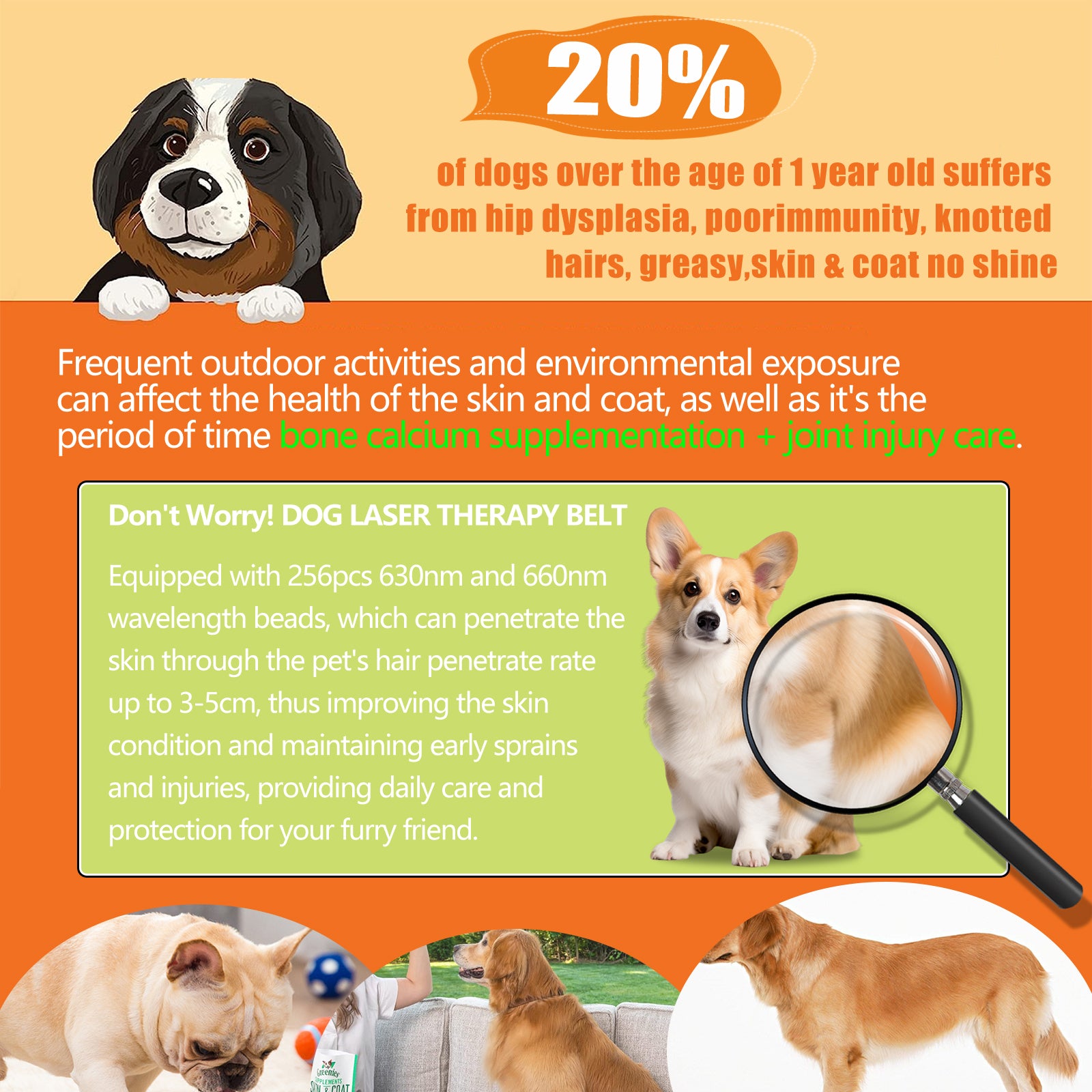 PUPCA Cold Laser Therapy Device for Dogs,Infrared Light Therapy for Pets,Red Light Therapy Belt for Joint and Muscle Pain Relief,Suitable for Dogs,Cats,Horse