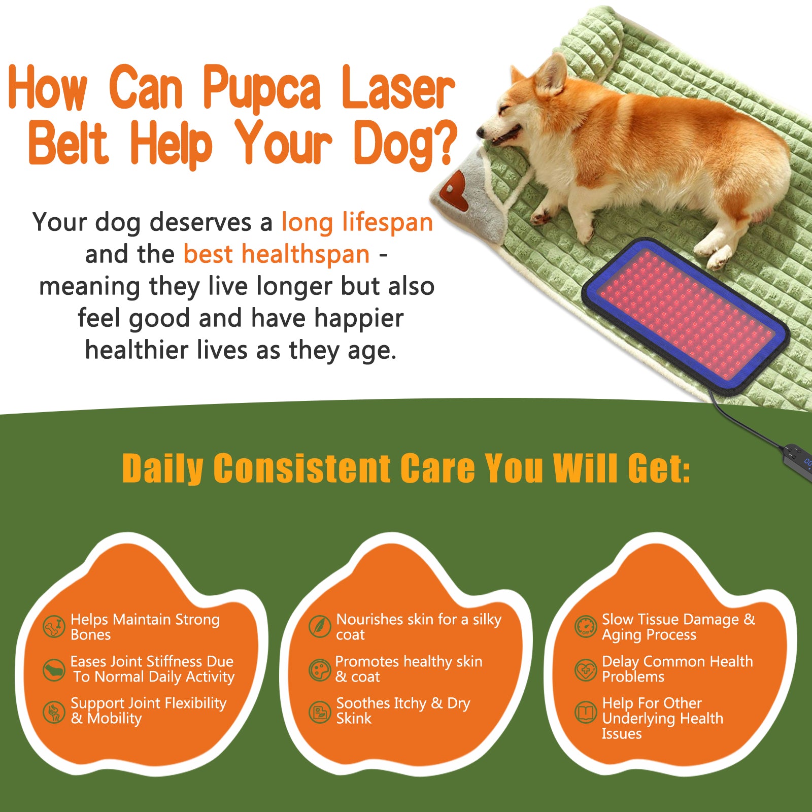 PUPCA Cold Laser Therapy Device for Dogs,Infrared Light Therapy for Pets,Red Light Therapy Belt for Joint and Muscle Pain Relief,Suitable for Dogs,Cats,Horse