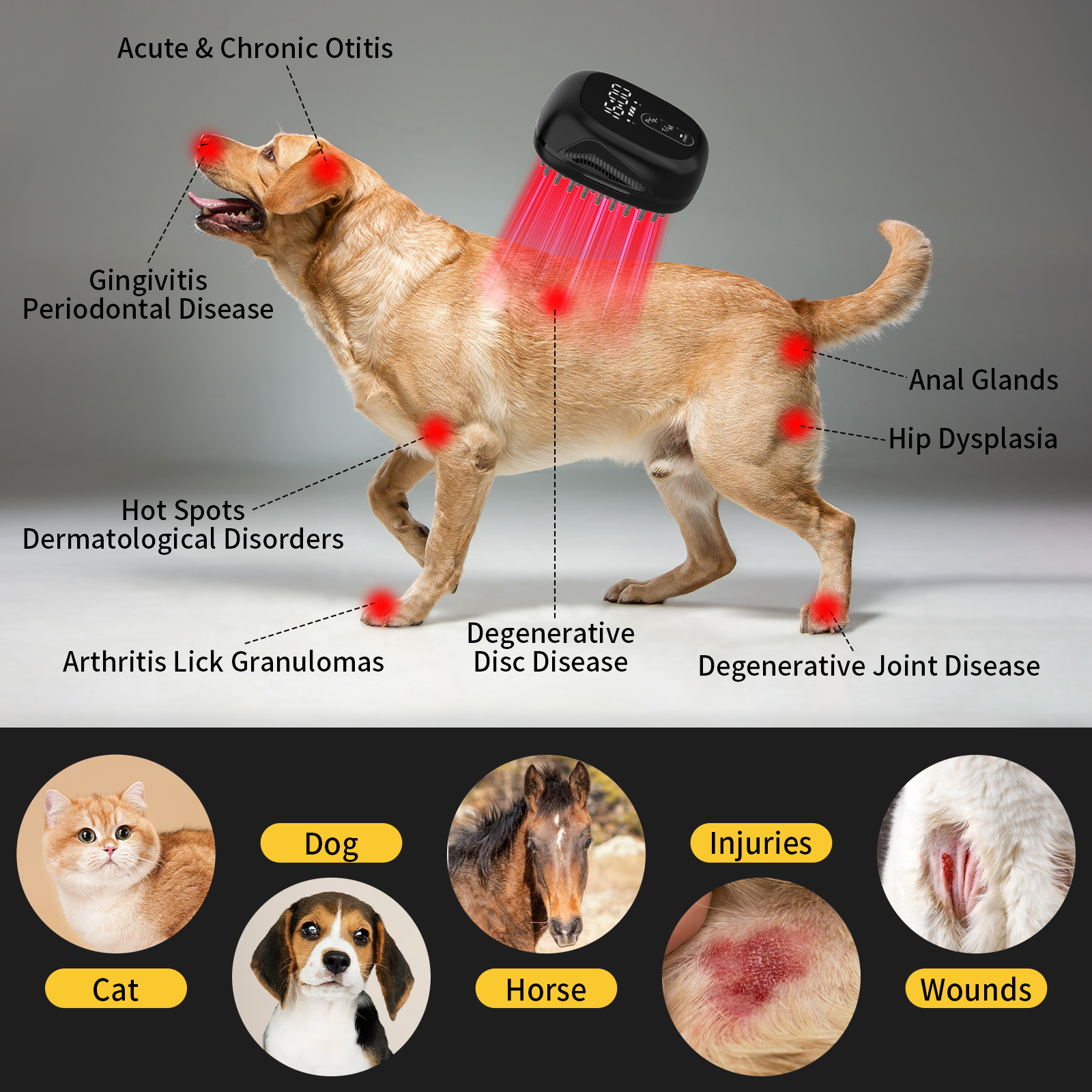 PUPCA Dogs Cold Laser Therapy Comb Device,Red Light Therapy Vet Device for Arthritis Pain Relief,Cat Treatment Brush for Itchy,Irritated Skin,Allergy,Rashes,Safe and Painless Skin Care for Pets