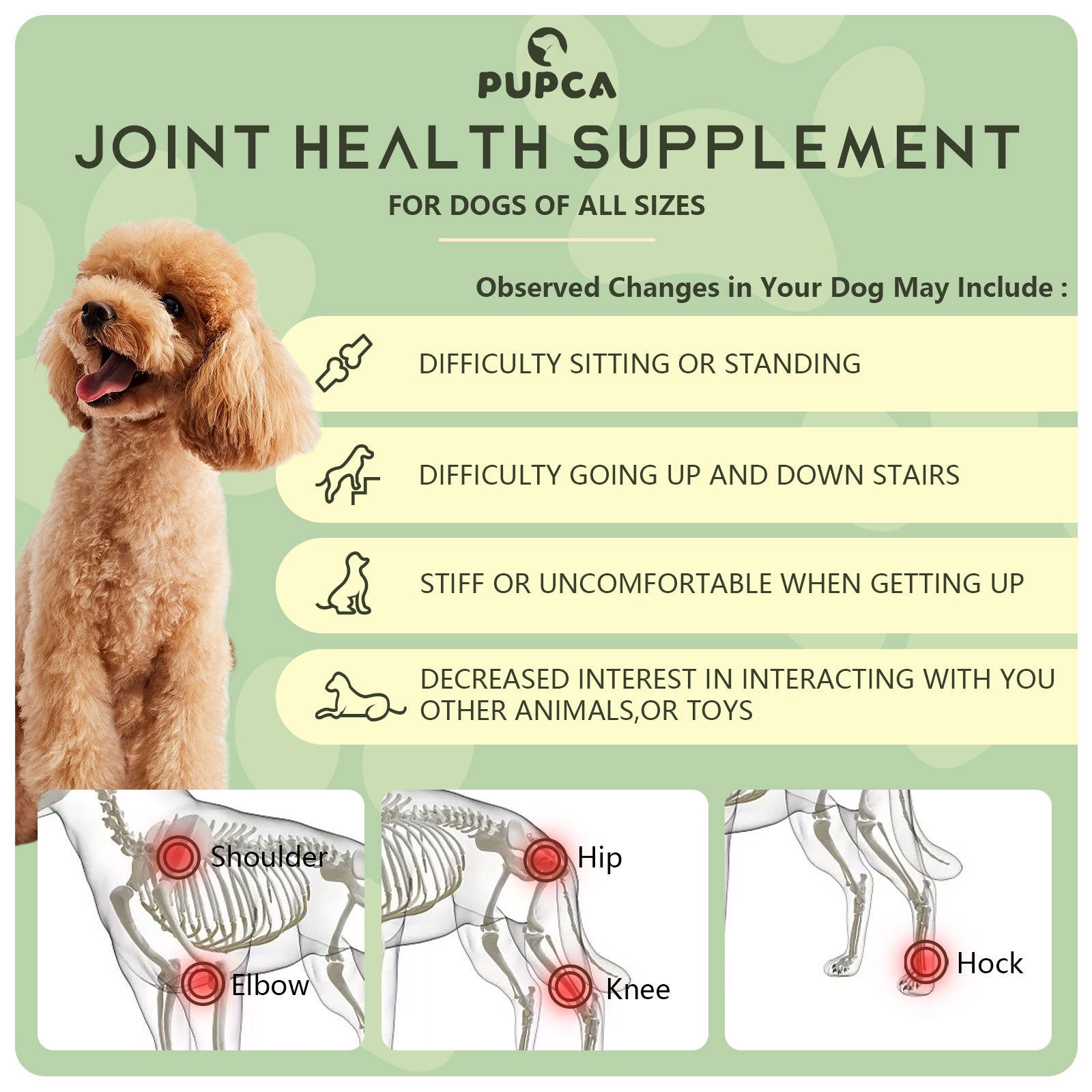 PUPCA Portable Red Light Therapy for Dogs,Handheld Cold Laser Therapy Vet Device & Infrared Light Therapy for Pet,Light Therapy for Pain Relief,Muscle & Joint Pain from Dog Arthritis