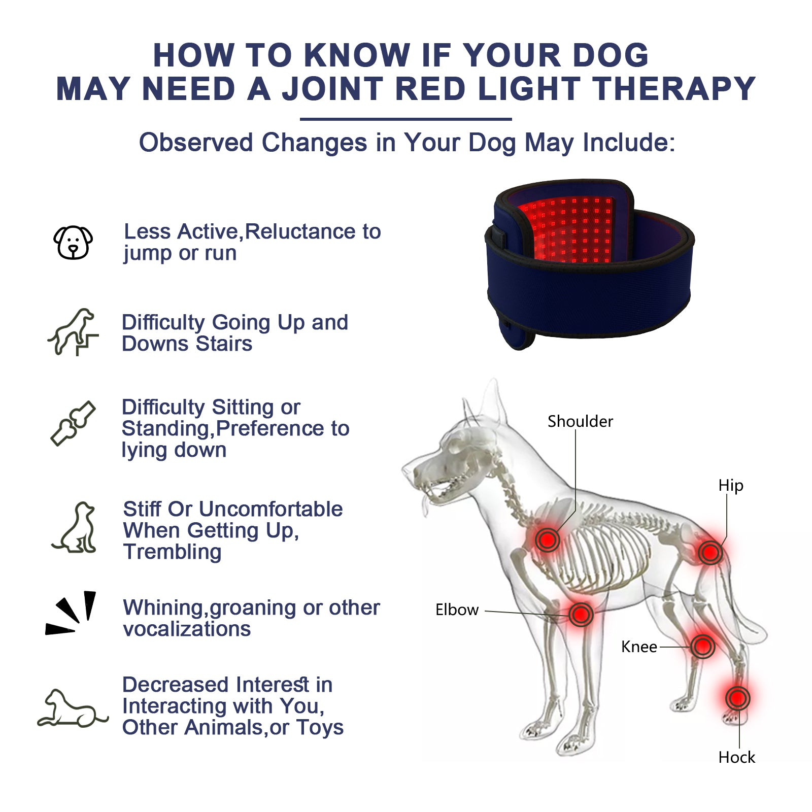 PUPCA Cold Laser Therapy Device for Dogs,Infrared Light Therapy for Pets,Red Light Therapy Belt for Joint and Muscle Pain Relief,Suitable for Dogs,Cats,Horse